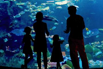 Inbursa Aquarium