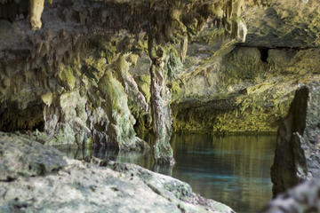 Cenotes Dos Ojos