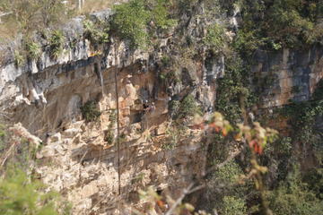 La Sima de las Cotorras (Sinkhole of Parrots)