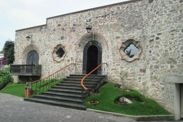 Museo Dolores Olmedo Patino