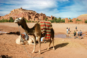 Ouarzazate