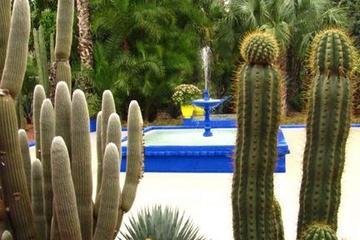 Majorelle Garden (Jardin Majorelle)