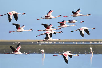 Walvis Bay