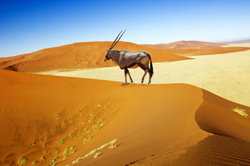 Namib-Naukluft National Park