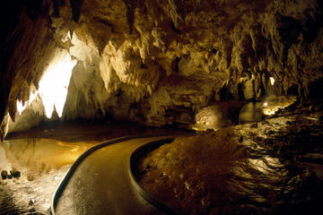 Waitomo Caves