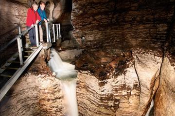 Te Anau Glow Worm Caves