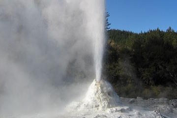 Lady Knox Geyser