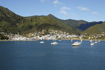 Picton Cruise Port