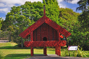 Maori Arts and Crafts Institute (Te Puia)