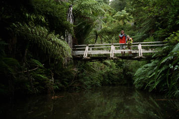 Waitakere Ranges