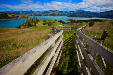 Akaroa Harbour