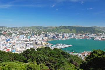 Wellington Cruise Port