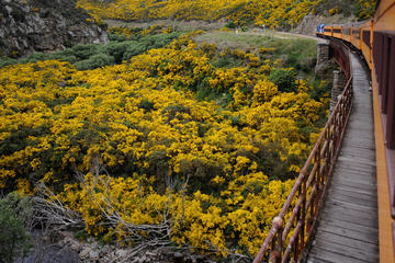 Taieri Gorge Railway