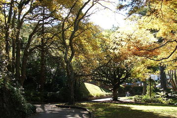 Wellington Botanic Garden