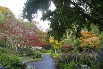 Glenfalloch Woodland Gardens