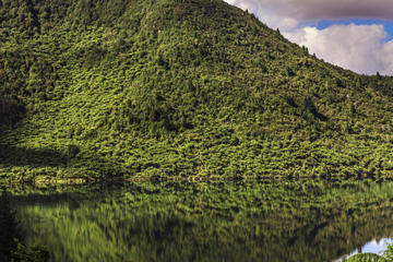 Lake Rotokakahi (Green Lake)