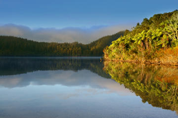 Lake Tikitapu (Blue Lake)