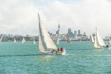 Viaduct Harbour