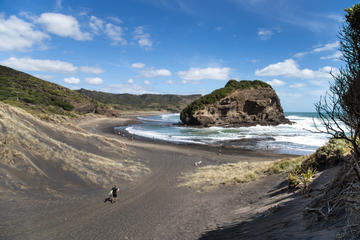 Bethells Beach