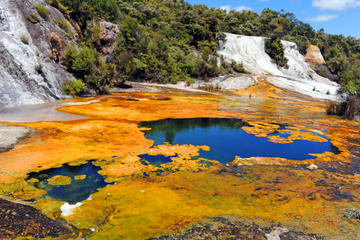 Orakei Korako Cave and Thermal Park (The Hidden Valley)