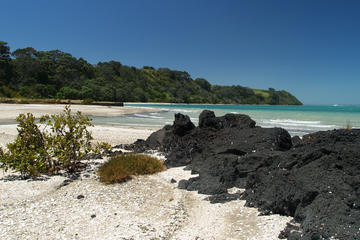 Rangitoto Island