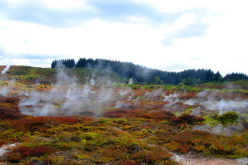 Wairakei Natural Thermal Valley