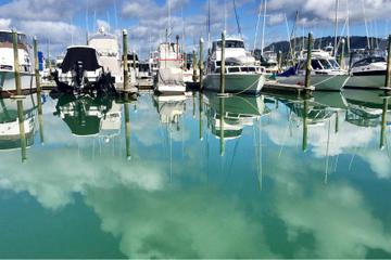 Whangaroa Harbour