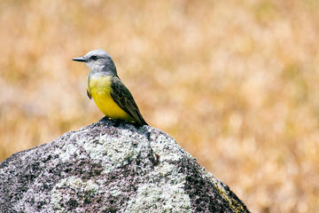 Soberania National Park