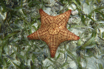 Punta Culebra Nature Center