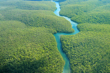 Amazon River