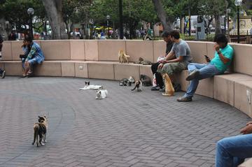 Kennedy Park (Parque Kennedy)