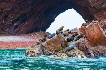 Ballestas Islands