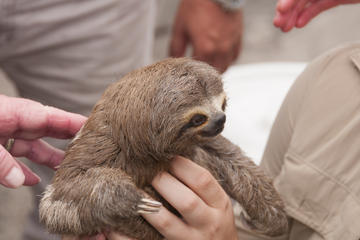 Amazon Refuge Wildlife Conservation Center