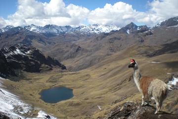 Lares Trek