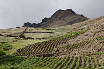 Pisaq Potato Park