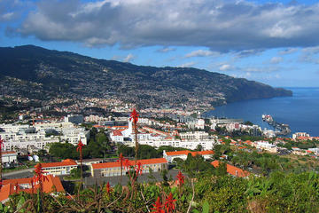 Funchal Coast