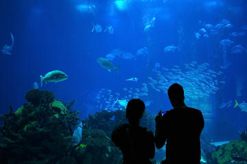 Oceanário de Lisboa