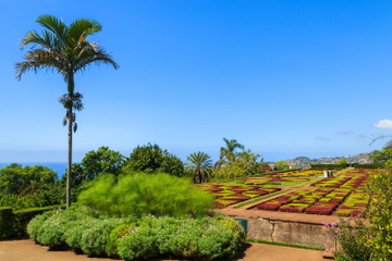 Madeira Botanical Gardens