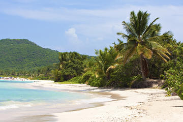 Flamenco Beach (Playa Flamenco)