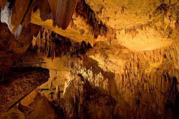 Rio Camuy Cave Park