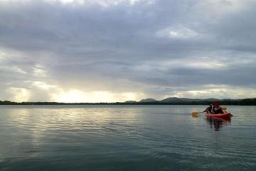 Bioluminescent (Mosquito) Bay