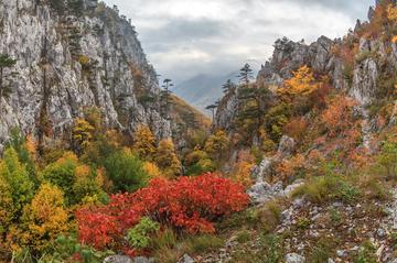 Domogled-Valea Cernei National Park