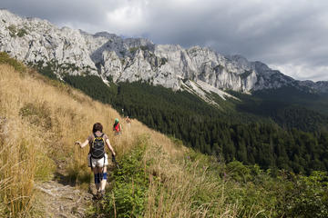 Piatra Craiului National Park