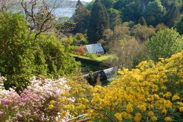 Arduaine Garden