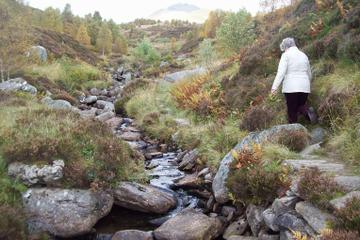 Ben Lawers National Nature Reserve