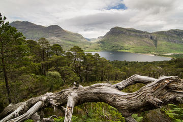 Beinn Eighe National Nature Reserve