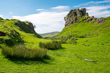 Faerie Glen