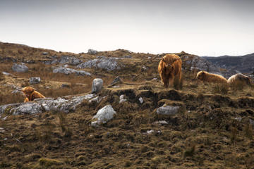 Isle of Harris