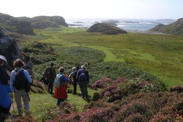 St Columba's Bay