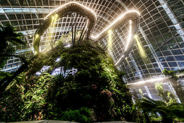 Cloud Forest at Gardens by the Bay